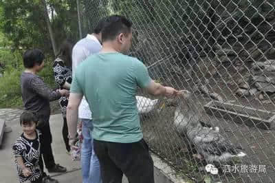 避暑度假好出去：泗水圣源山庄度假村