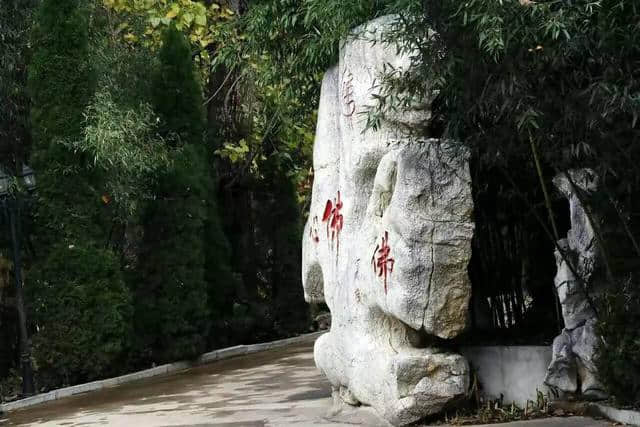 避暑度假好出去：泗水圣源山庄度假村