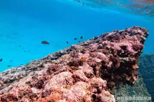 2017年春节全家出行塞班岛旅游记录