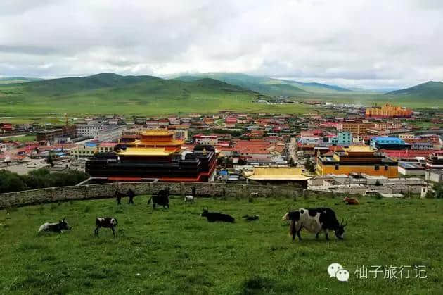 给读者的若尔盖旅游全攻略，附地图附门票信息