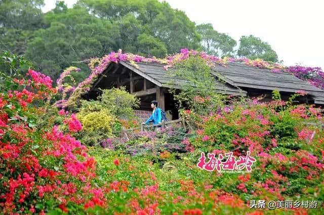 厦门免费景点大盘点