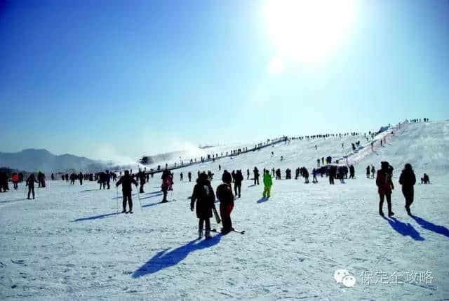 保定人，根本不用去外地旅游。