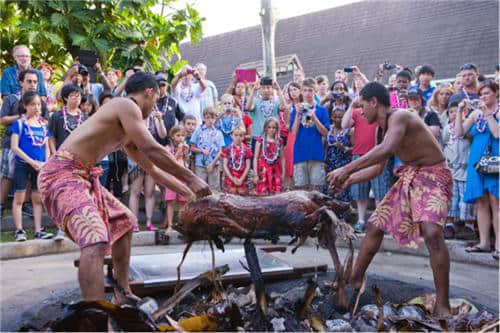 夏威夷旅游，知道这9点，自由行绝对没问题