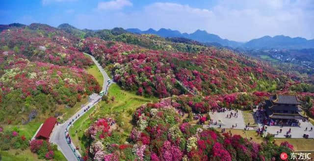 贵州乡村旅游，火了！小长假第二天，33个景区游客超万人次！