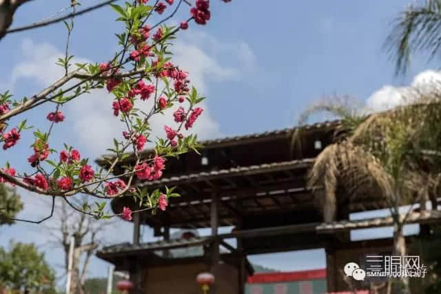 待到山花烂漫时，就借这条微信看遍一整个三明的春天！