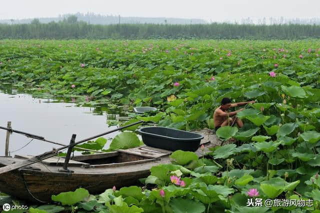 河北保定最有名的3个景点，其中1处是白洋淀，你去过吗