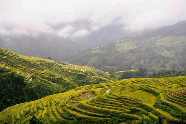 这个红遍抖音的小众目的地，居然藏了中国80%的极致美景！