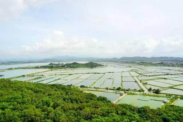 「花样漳州十佳旅游线路」漳州夏天去哪玩？这条清凉避暑游最佳线路拋给你！