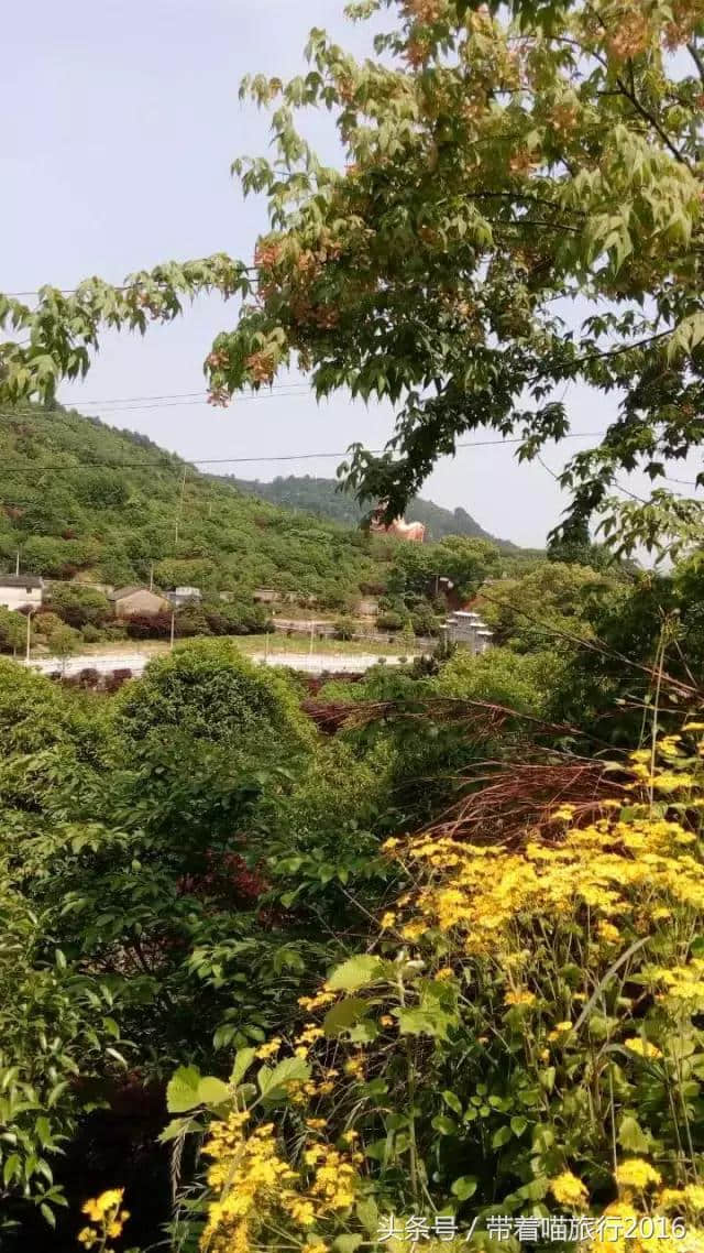 “记者带您走溪口”首站雪窦山之旅圆满成功