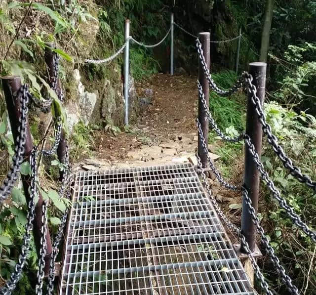 贵港这个旅游景区实施道路改造，最新进度在此……