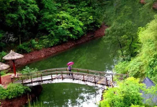 免费！半价！明天浙江众多景点大优惠，快去浪！