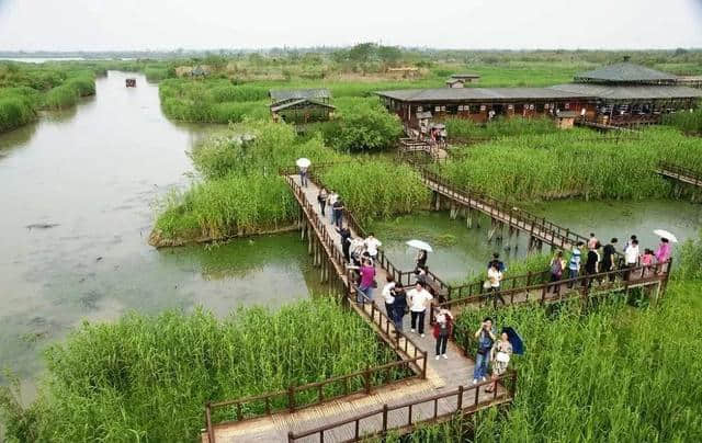 免费！半价！明天浙江众多景点大优惠，快去浪！