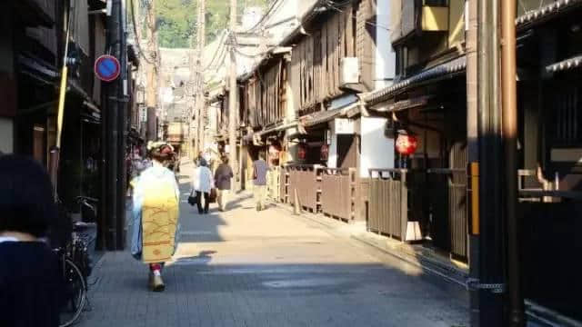 樱花永巷垂杨岸，一朝春雨洗尘烟