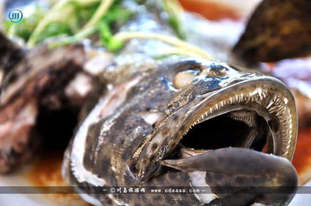 精选推荐上下川岛餐厅吃饭好去处