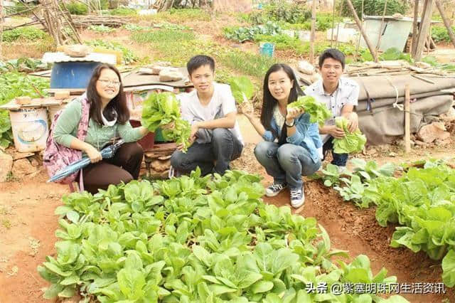 「紫塞明珠」农家游｜野三坡百里峡顺鑫农家院一段难得的快乐时光