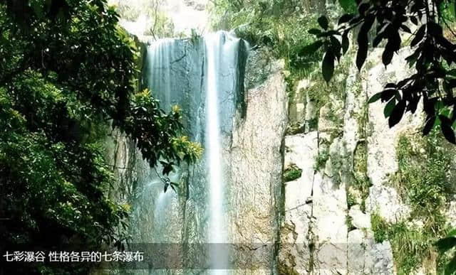 首选央视“夏揽胜地” 国家生态旅游示范区，燥热的夏天去哪玩，看这里就够了！