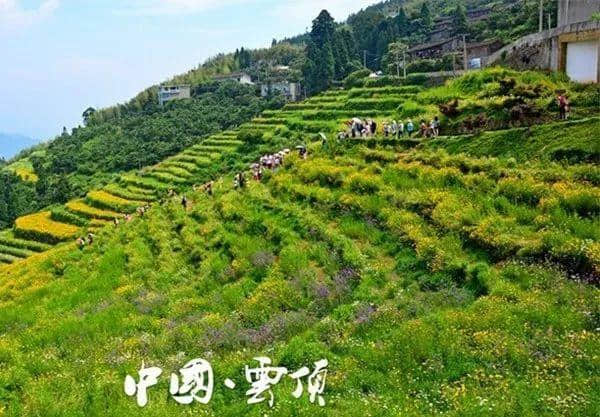 首选央视“夏揽胜地” 国家生态旅游示范区，燥热的夏天去哪玩，看这里就够了！