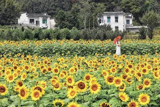 专家解读《关于促进乡村旅游可持续发展的指导意见》