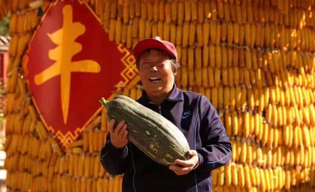 专家解读《关于促进乡村旅游可持续发展的指导意见》