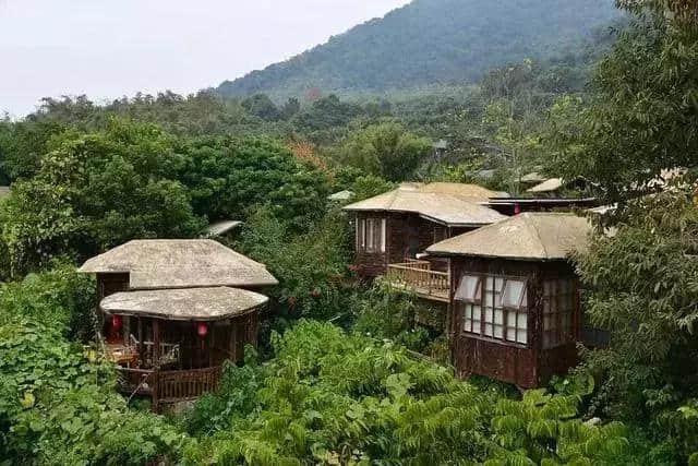 有意思旅游｜刷遍广州附近美景，这些自驾路线，走过3条就是车神