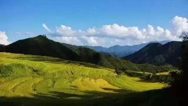 有意思旅游｜刷遍广州附近美景，这些自驾路线，走过3条就是车神