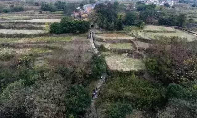 有意思旅游｜刷遍广州附近美景，这些自驾路线，走过3条就是车神