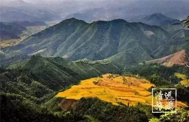 有意思旅游｜刷遍广州附近美景，这些自驾路线，走过3条就是车神