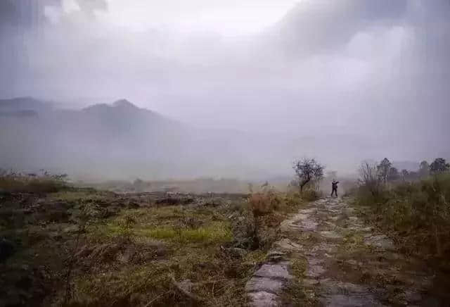 有意思旅游｜刷遍广州附近美景，这些自驾路线，走过3条就是车神