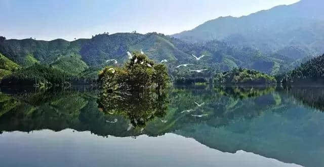 有意思旅游｜刷遍广州附近美景，这些自驾路线，走过3条就是车神