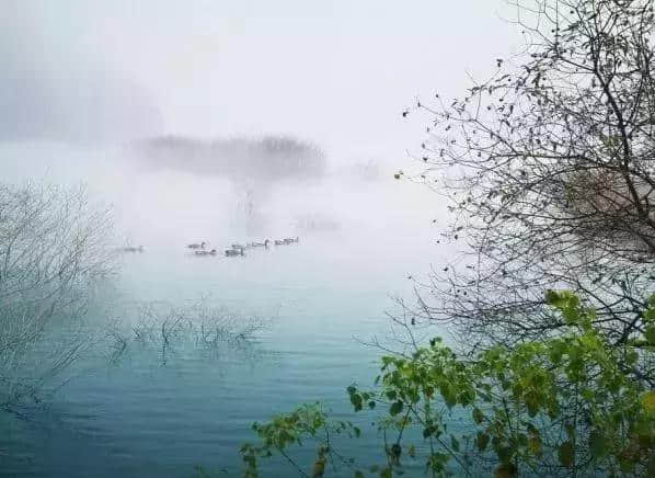 有意思旅游｜刷遍广州附近美景，这些自驾路线，走过3条就是车神