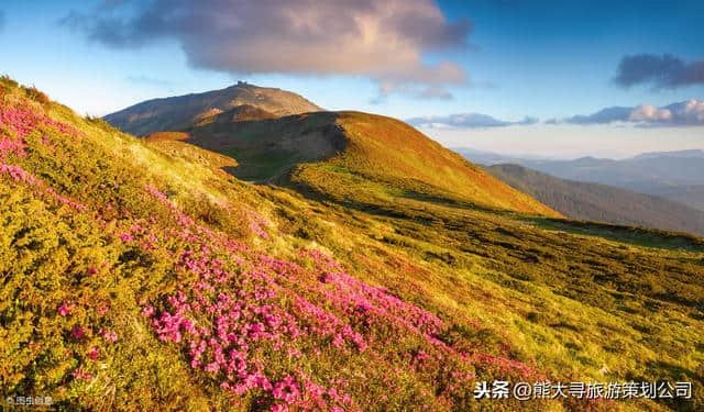 十分钟挽救两个亿！——井冈山笔架峰经典案例分享