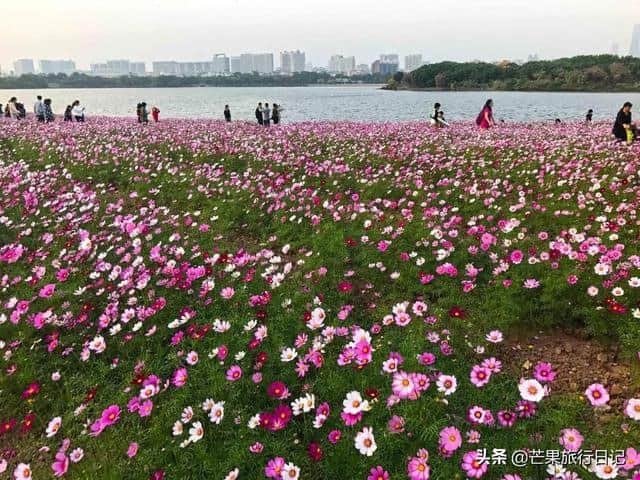 春节旅游城市榜单排行，广州为什么能超越黑马西安，成全国第三？