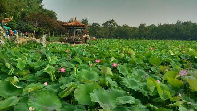 中国最凉快的城市：最高不超过26℃，夏天也不用开空调