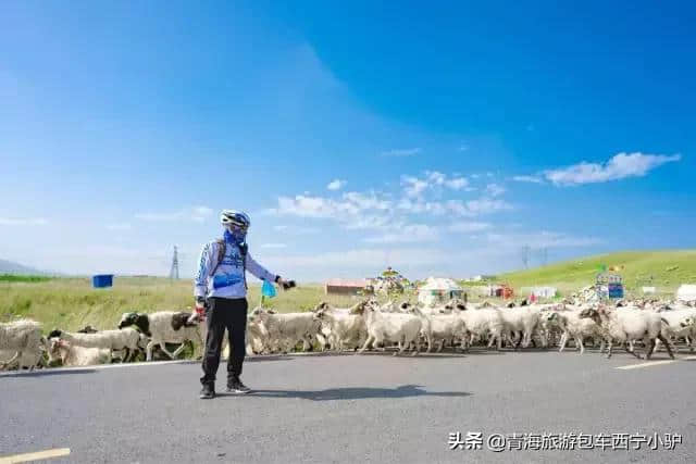 青海旅游攻略大作战 你想了解的都在这