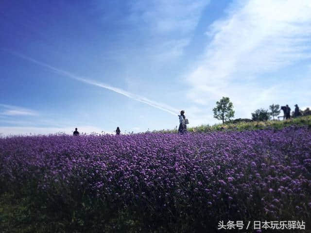 日本十大特色岛，旅游好去处，您知多少？