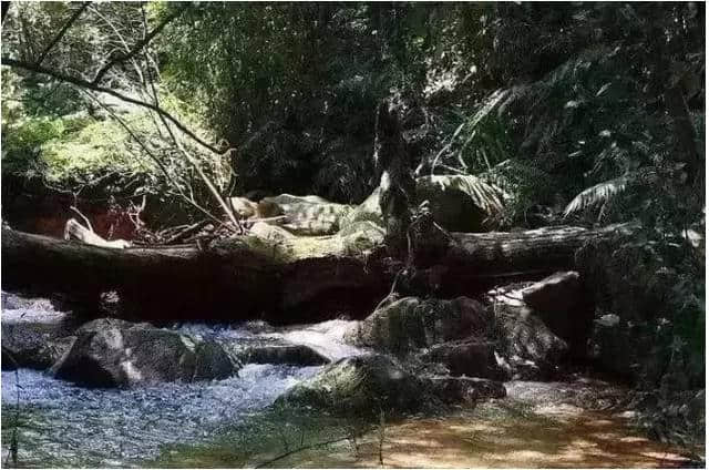 暑假广州旅游：火炉山，莲山水乡，南沙潭州，王子山森林公园