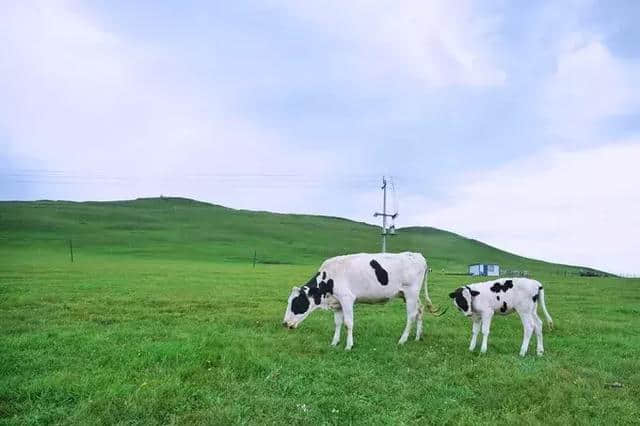 10个小众旅行地，最适合在夏天出发！