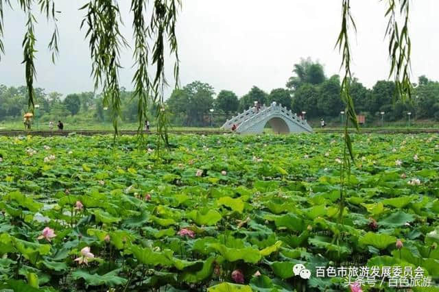 激动！田东将成为全国旅游示范区啦！