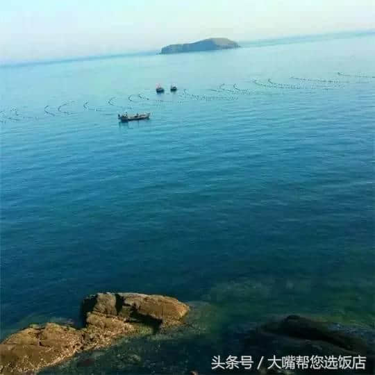 玩遍大连丨又一批海岛，这个夏天一定要去一个！