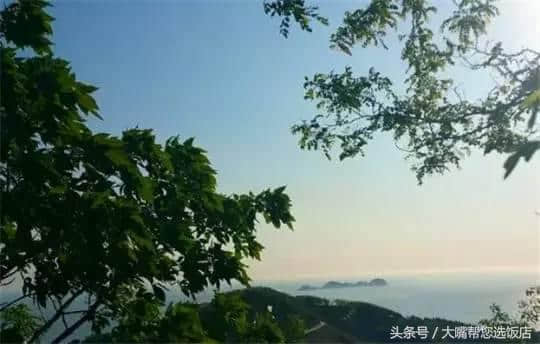 玩遍大连丨又一批海岛，这个夏天一定要去一个！