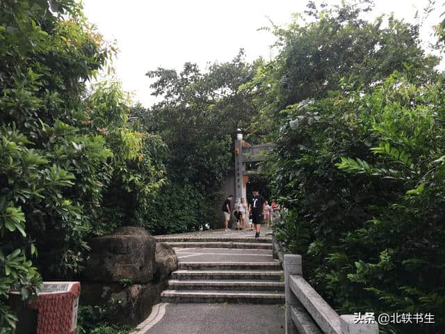 来广州旅游不要只去广州塔，这景区风景美如画，一样不容错过