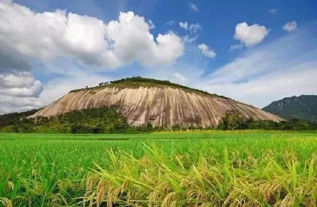 热门旅游线路价格大跳水！8月下旬，南海出发可以这样玩