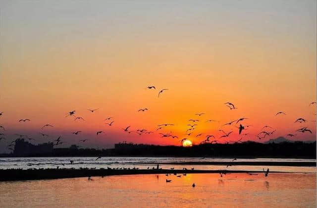 热门旅游线路价格大跳水！8月下旬，南海出发可以这样玩