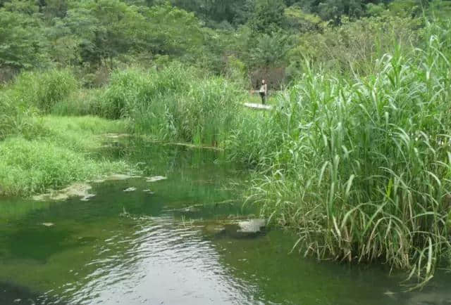 荔波旅游最全攻略