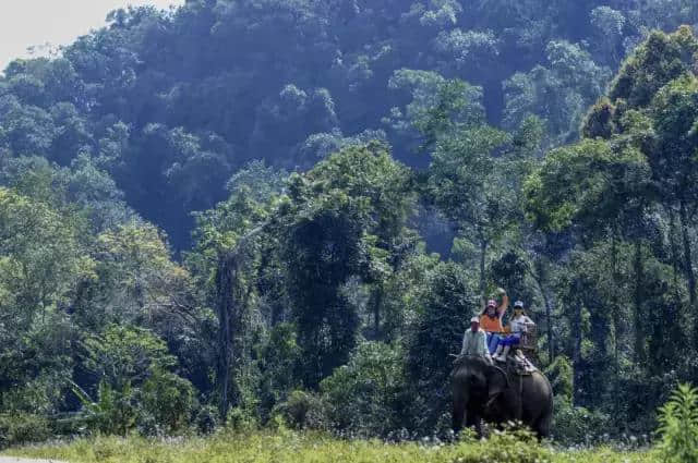 西双版纳，我心目中最野的旅行目的地