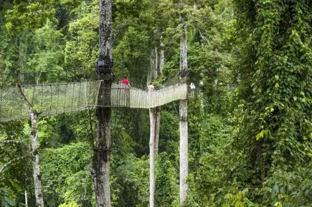 西双版纳，我心目中最野的旅行目的地