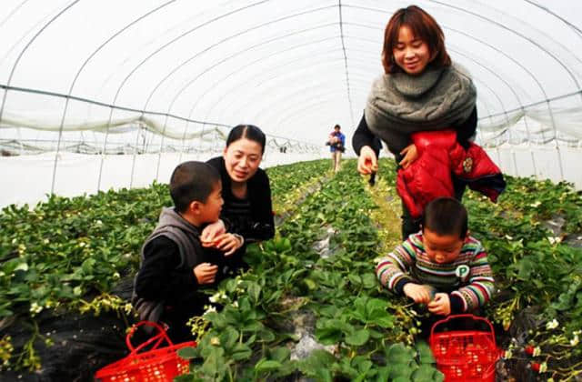 春节大礼包！邹城2019春节长假旅游集锦出炉