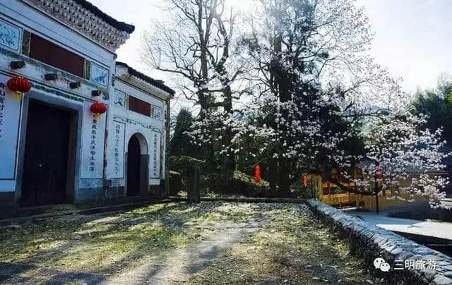 建宁春天最全赏花攻略！万紫千红看花海，相约建宁踏春来