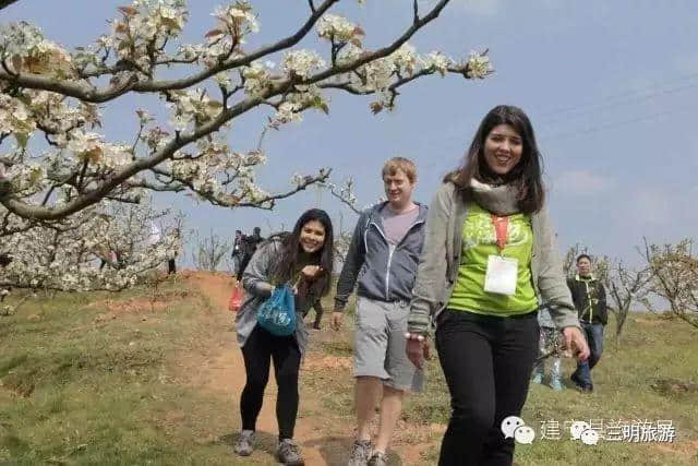 建宁春天最全赏花攻略！万紫千红看花海，相约建宁踏春来