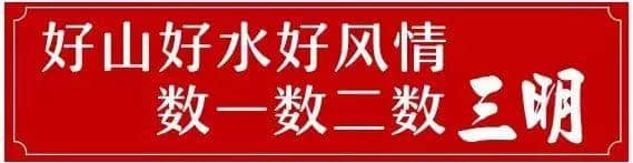 建宁春天最全赏花攻略！万紫千红看花海，相约建宁踏春来